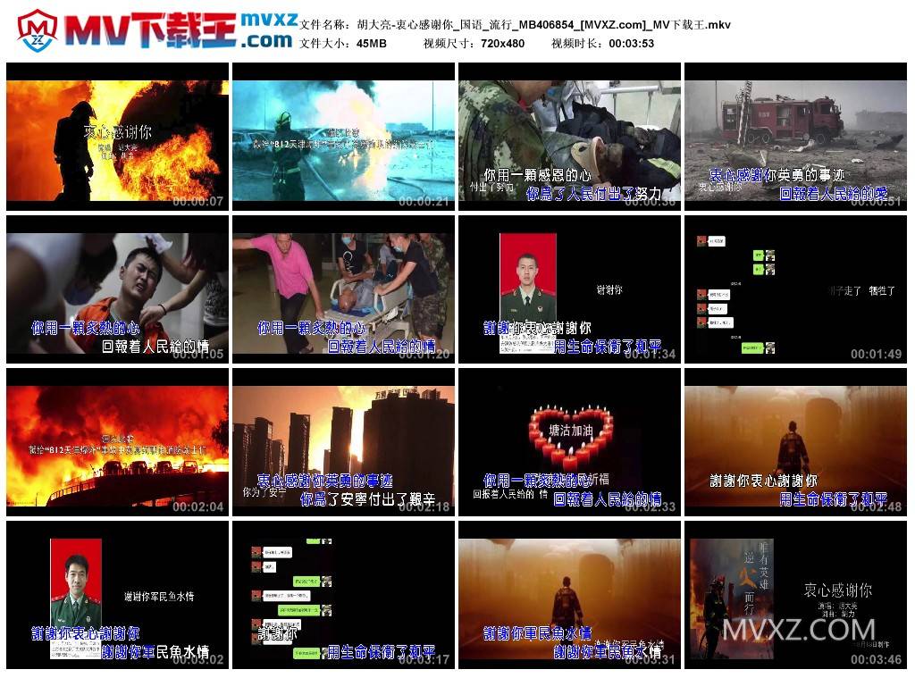 胡大亮-衷心感谢你_国语_流行_MB406854